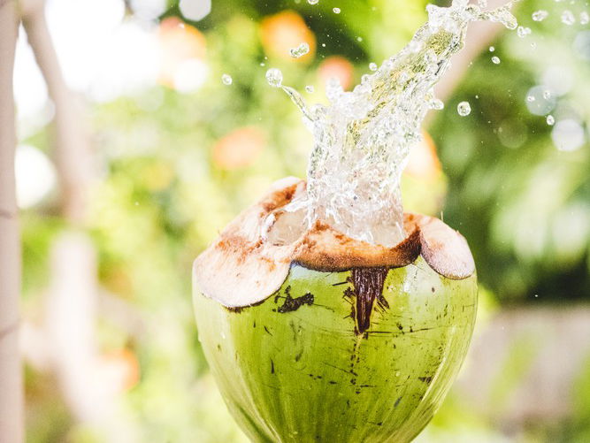 7 Reasons To Drink Coconut Water Every Day